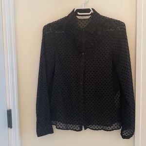 Zara Swiss Dot Blouse